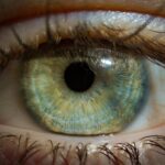 Jak i czym wzmocnić rzęsy