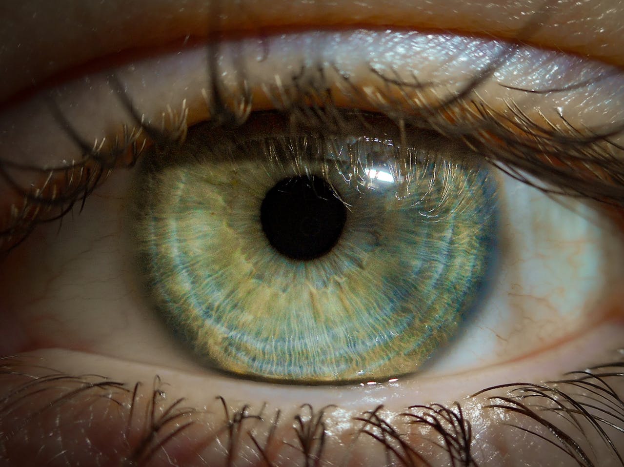 Jak i czym wzmocnić rzęsy