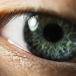 Co na porost rzęs naprawdę działa