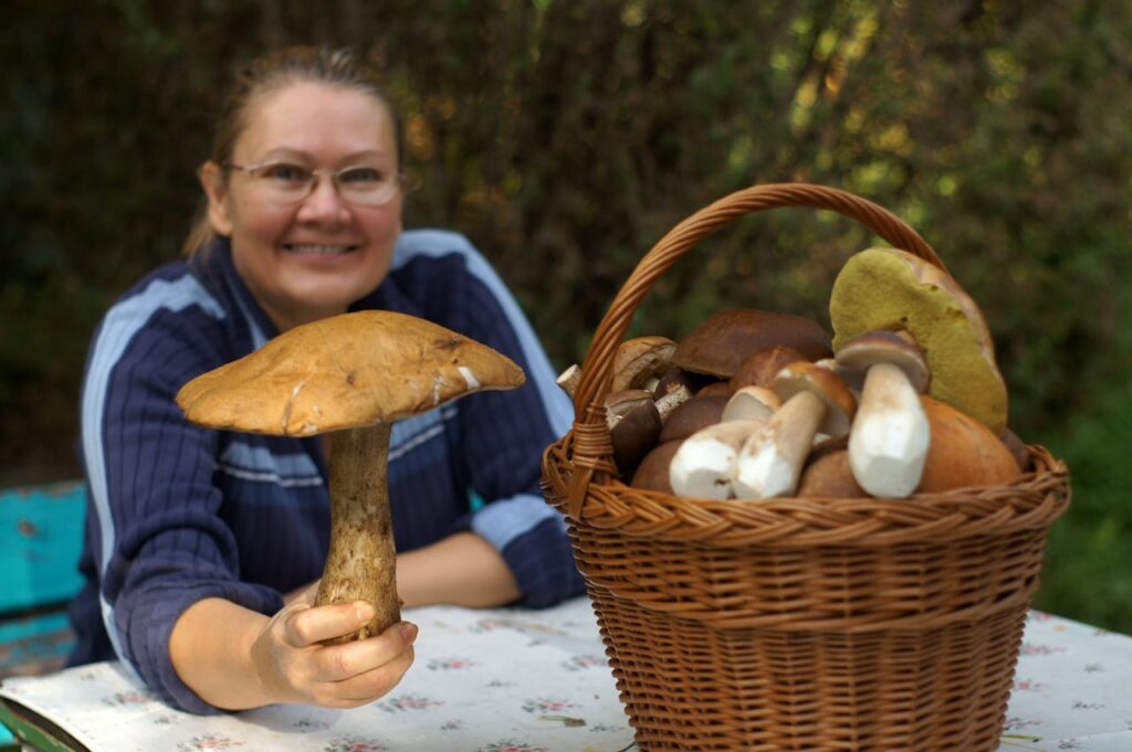 Stylizacja na grzyby