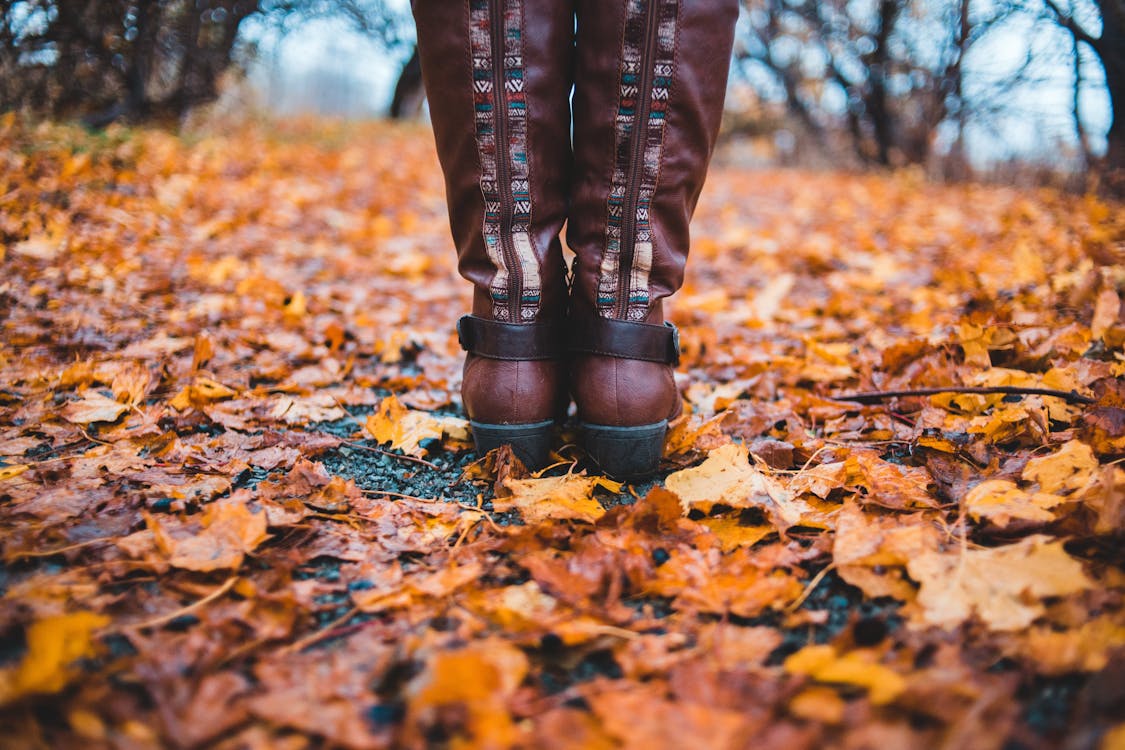 jak się ubrać na 4 stopnie